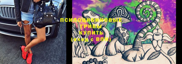 spice Зеленокумск